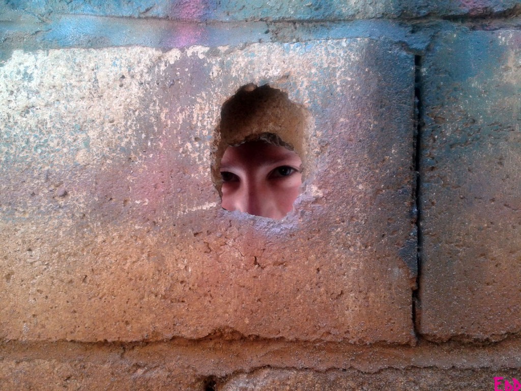 EODAssadFarPostSMALL