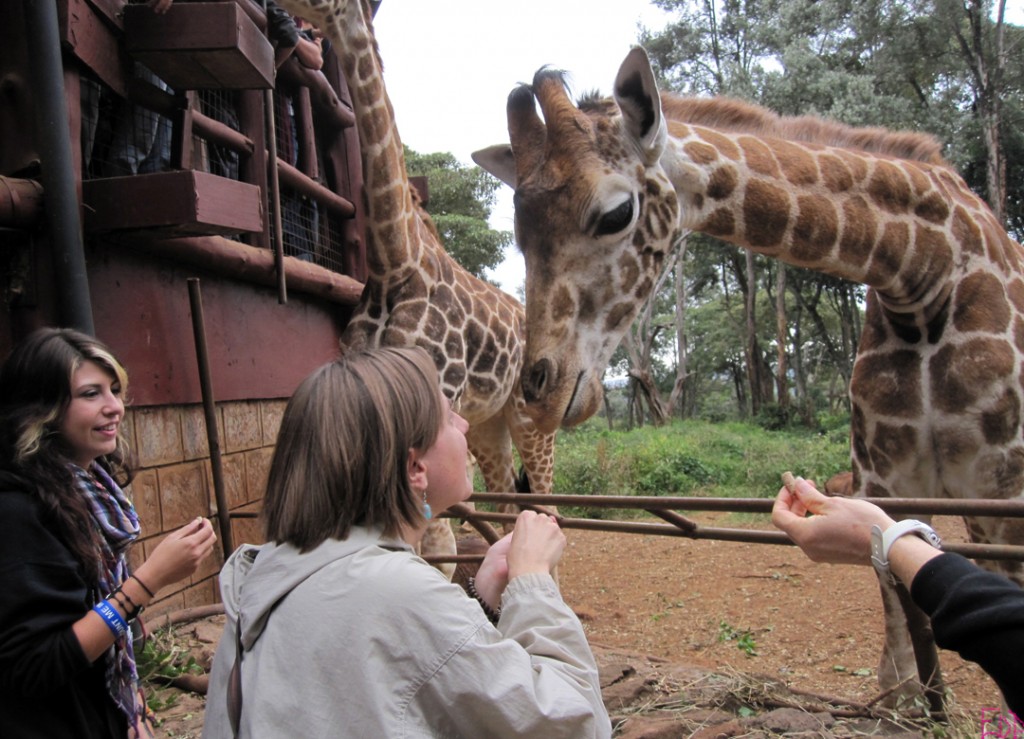 EODKentalking2giraffe copy