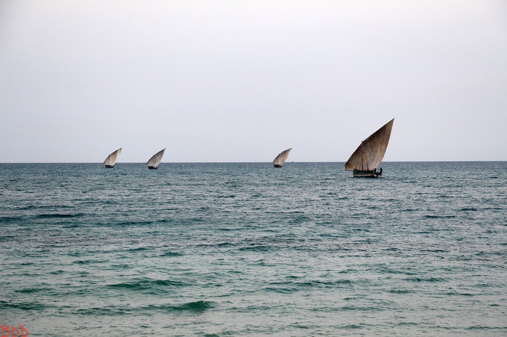 BODSailsZanzibarSMALL