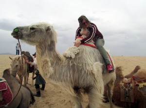 CamelHugSMALL