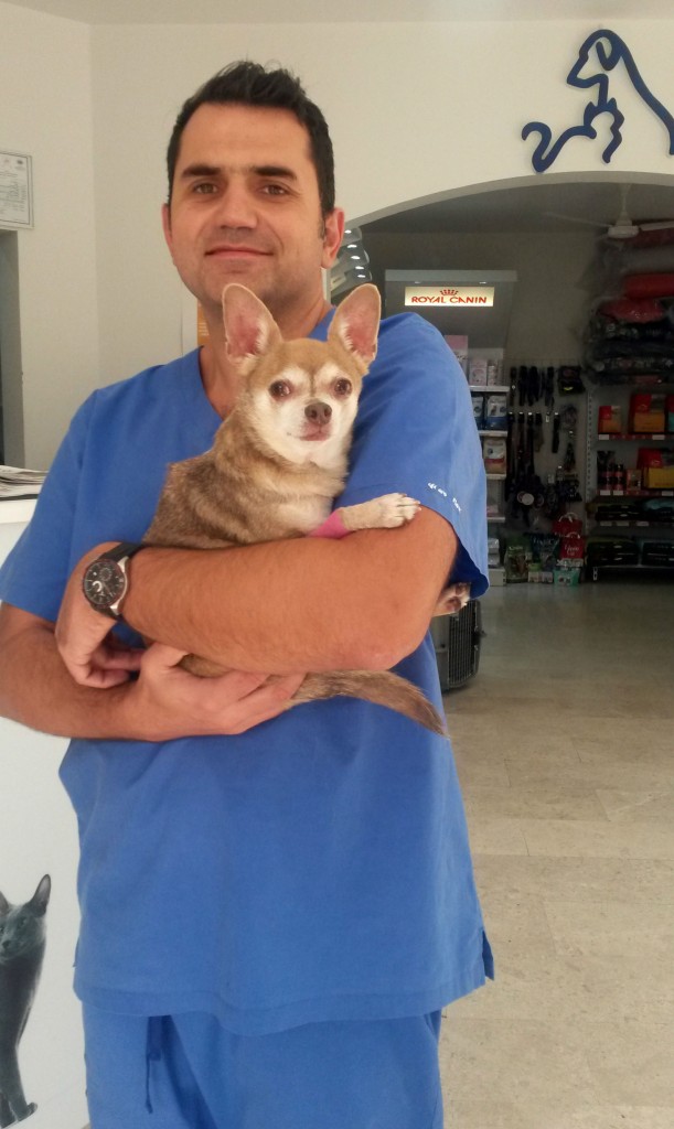 AnubisPeterFotorCrop