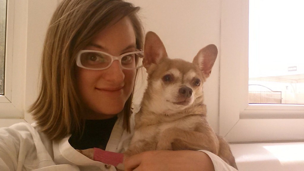 AnubisVetMePinkBandage