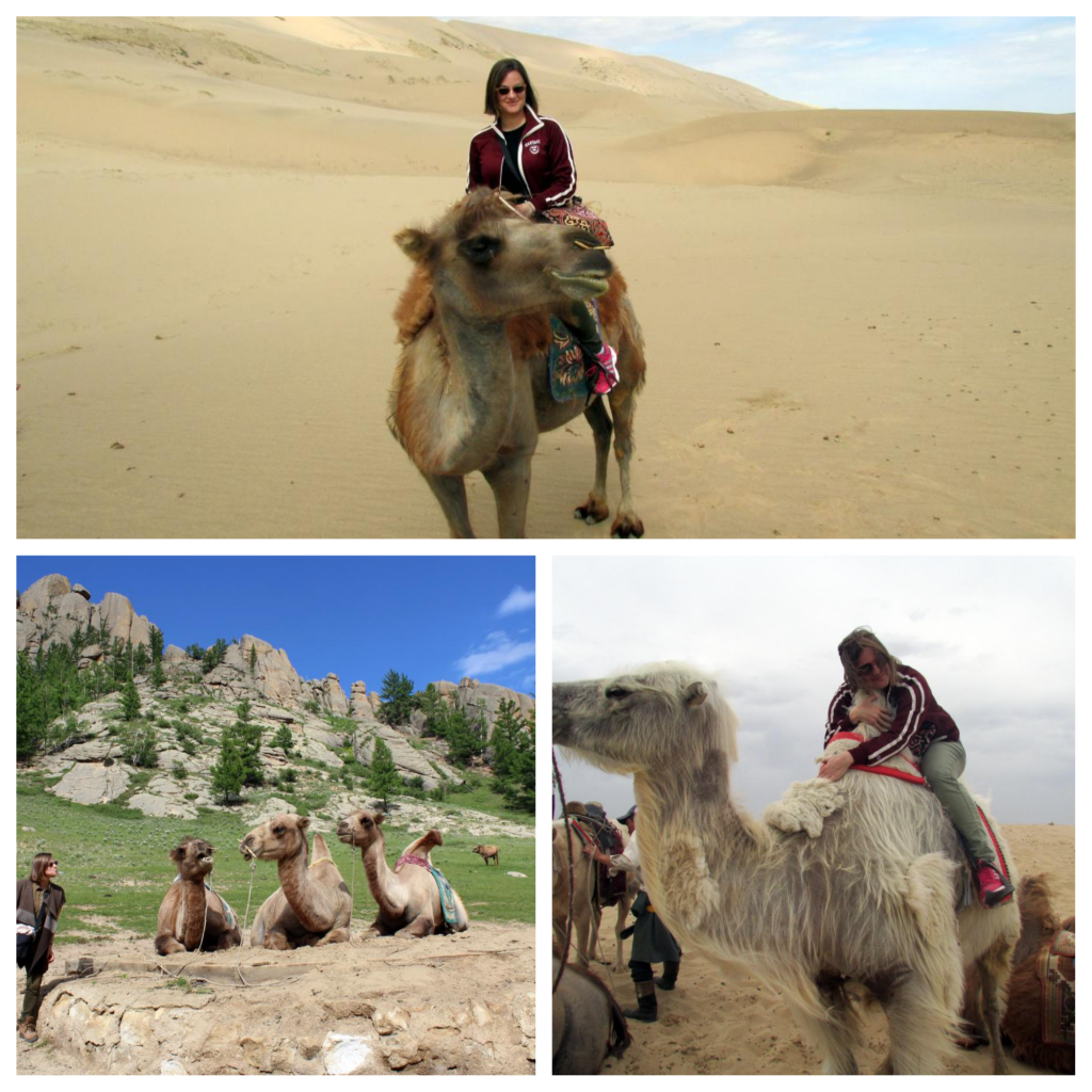 Camel time in Mongolia (Photos: Emily O'Dell)