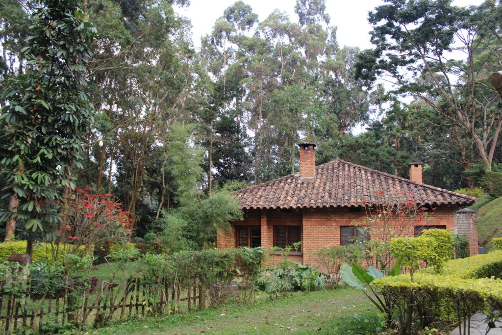 Gisakura Guest House in Rwanda (Photo: Emily O'Dell)