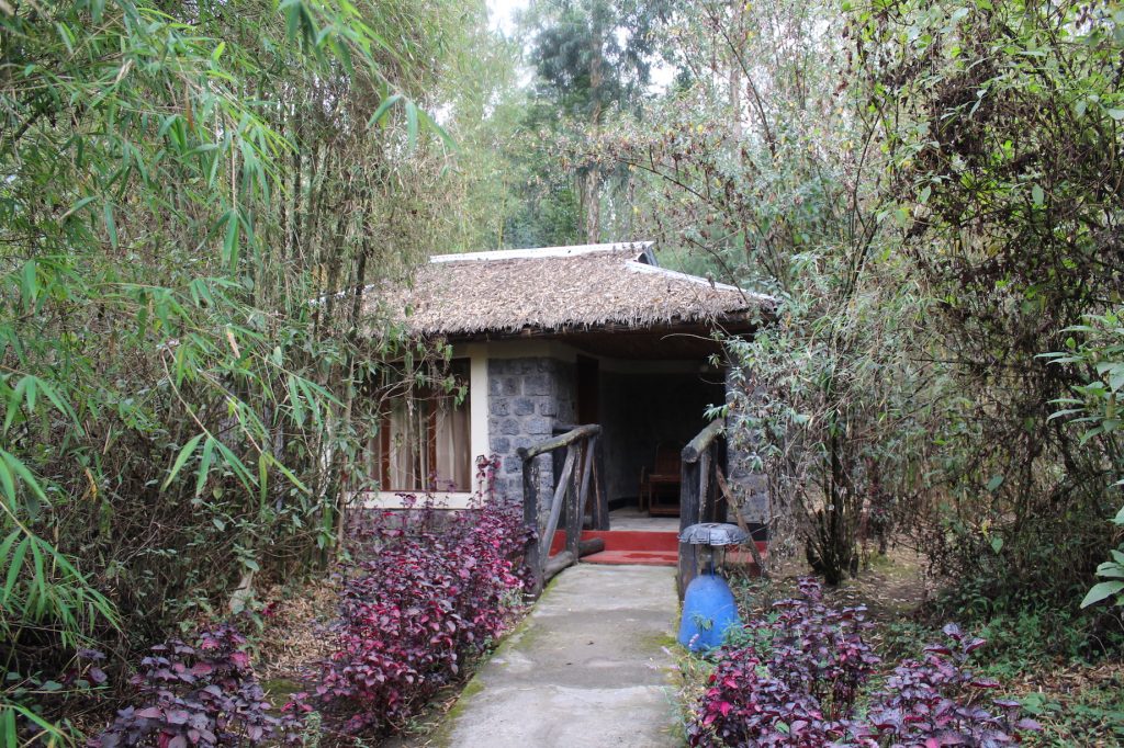 Le Bambou Gorilla Lodge (Photo: Emily O'Dell)