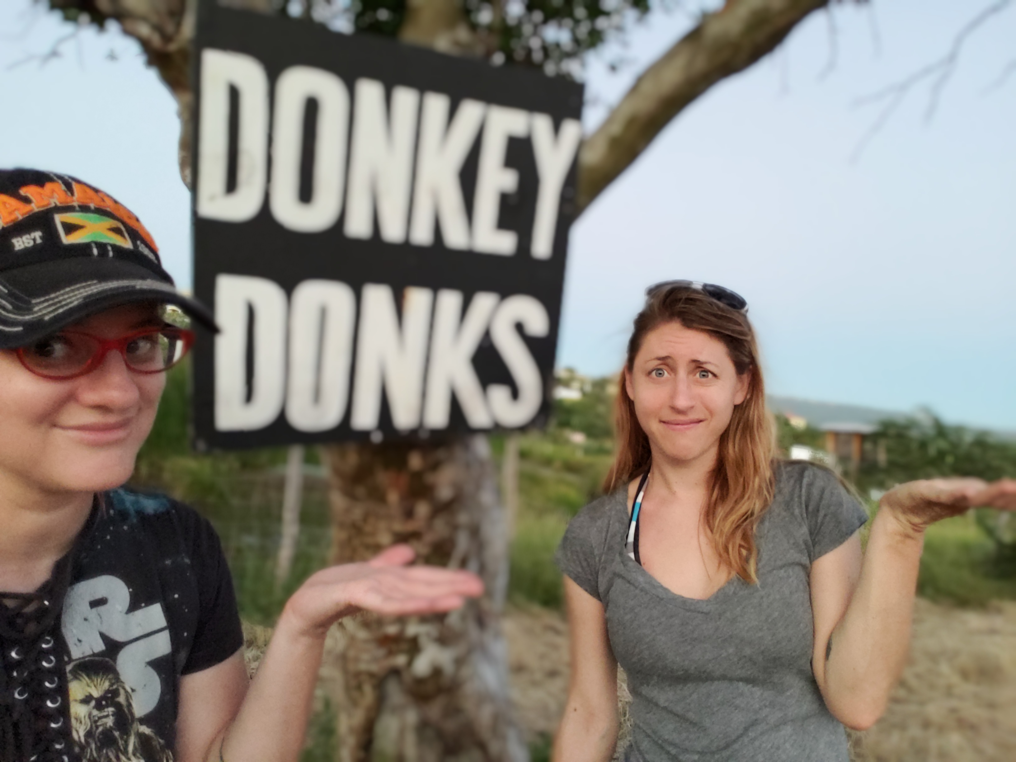 donkey 
